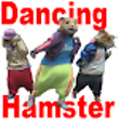 Dancing Hamster APK