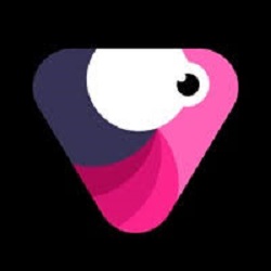 Velomingo APK
